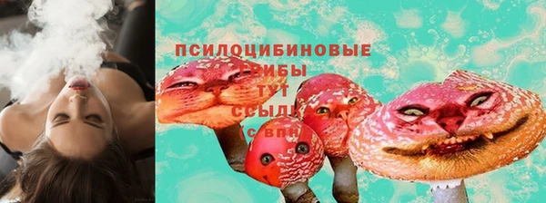 прущий лед Вязники